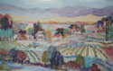 019_Vineyard